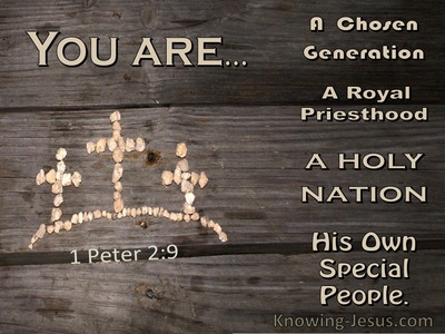 1 Peter 2:9 You Are A Chosen Generation, A Holy Nation, A Royal Priesthood (windows)10:28